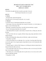 Tải Đề thi khảo sát chất lượng đầu năm môn Ngữ văn lớp 12 trường THPT Phan Ngọc Hiển, Cà Mau năm học 2013 - 2014 - Đề kiểm tra đầu năm môn Văn lớp 12 có đáp án