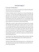 Tải Tả cây hoa ly lớp 4, 5 - 4 bài văn mẫu tả cây hoa ly