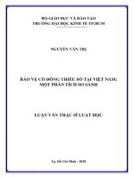 (Luận văn thạc sĩ) bảo vệ cổ đông thiểu số tại việt nam một phân tích so sánh 