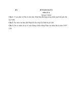 Tải Bộ đề thi giữa học kì 2 môn Lịch sử lớp 11 (Có đáp án) - Đề kiểm tra giữa học kỳ II môn Sử lớp 11 có đáp án