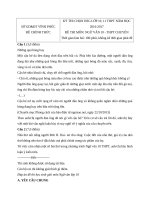 Tải Đề thi học sinh giỏi môn Ngữ văn lớp 10 Sở GD&ĐT Vĩnh Phúc năm học 2016 - 2017 - Đề thi học sinh giỏi cấp tỉnh lớp 10 môn Văn có đáp án