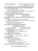 Tải Đề kiểm tra học kì 2 môn Ngữ văn lớp 7 năm học 2014-2015 trường THCS Thống Nhất - Đề thi học kì 2 môn Văn lớp 7 có đáp án