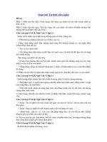 Tải Soạn bài Tự tình siêu ngắn - Soạn văn 11 siêu ngắn