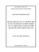 (Luận văn thạc sĩ) mối quan hệ giữa đầu tư với dòng tiền và yếu tố giới hạn tài chính  nghiên cứu các nhóm công ty trên thị trường chứng khoán việt nam 