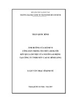(Luận văn thạc sĩ) ảnh hưởng của hành vi công dân trong tổ chức (OCB) tới kết quả làm việc của người lao động tại công ty TNHH MTV cao su bình long 