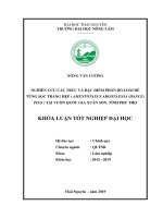 Nghiên cứu cấu trúc và đặc điểm phân bố loài dẻ tùng sọc trắng hẹp ( amentotaxus argotaenia (hance) pilg ) tại vườn quốc gia xuân sơn, tỉnh phú thọ 