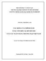 (Luận văn thạc sĩ) tác động của chính sách tăng vốn điều lệ đến rủi ro của các ngân hàng thương mại việt nam 
