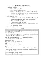 Tải Giáo án môn Thủ công 3 bài 15: Đan nong đôi - Giáo án điện tử môn Thủ công lớp 3