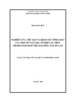 Nghiên cứu, chế tạo và khảo sát tính chất của một số vật liệu tổ hợp cấu trúc micro nano hấp thụ dải sóng tần số cao