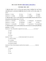 Tải Đề thi học sinh giỏi môn Tiếng Anh lớp 11 năm học 2018 - 2019 số 5 - Ôn thi học sinh giỏi lớp 11 môn Tiếng Anh có đáp án