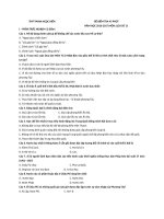 Tải Đề kiểm tra 45 phút học kì 1 môn Lịch sử lớp 11 trường THPT Phan Ngọc Hiển, Cà Mau - Đề thi trắc nghiệm môn Lịch sử lớp 11 có đáp án