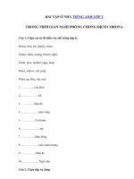 Tải Bài ôn tập ở nhà trong thời gian nghỉ dịch Corona môn tiếng Anh lớp 2 - Ôn tập tiếng Anh lớp 2 giữa học kì 2 có đáp án