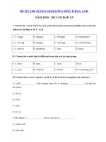 Tải Đề thi thử vào lớp 6 môn tiếng Anh năm 2020 - 2021 số 2 - Đề thi tuyển sinh lớp 6 môn Anh có đáp án