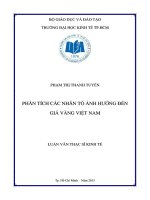(Luận văn thạc sĩ) phân tích các nhân tố ảnh hưởng đến giá vàng việt nam 