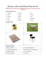 Tải Đề thi lớp 3 cuối kì 2 năm 2020 môn Tiếng Anh - Đề 1 - Đề thi Tiếng Anh học kỳ 2 tiếng Anh lớp 3 có đáp án