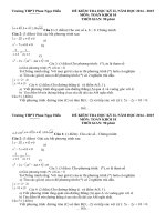 Tải Đề thi học kì 2 môn Toán lớp 10 trường THPT Phan Ngọc Hiển, Cà Mau năm 2014 - 2015 - Đề kiểm tra học kỳ II môn Toán lớp 10 có đáp án