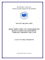 (Luận văn thạc sĩ) hoàn thiện công tác thẩm định tín dụng cá nhân tại ngân hàng TNHH MTV shinhan việt nam 