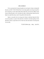 (Luận văn thạc sĩ) nghiên cứu các nhân tố ảnh hưởng đến xác suất phát sinh nợ xấu thẻ tín dụng quốc tế của khách hàng cá nhân trường hợp ngân hàng TMCP công thương việt nam chi nhánh 4 thành phố hồ chí minh 