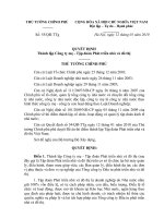 chính phủ về thí điểm thành lập tổ chức hoạt động và quản lý tập đoàn kinh tế