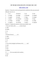 Tải Đề thi học sinh giỏi lớp 6 môn Tiếng Anh năm học 2018 - 2019 số 8 - Bồi dưỡng HSG môn Tiếng Anh lớp 6 có đáp án