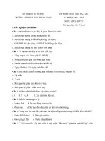 Tải Đề kiểm tra 1 tiết học kì 1 môn Giáo dục công dân lớp 10 trường THPT Nguyễn Trung Trực, An Giang năm học 2016 - 2017 - Đề kiểm tra 1 tiết môn GDCD lớp 10 có đáp án