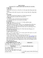 Tải Giáo án môn Sinh học lớp 8 bài 12 - Thực hành tập sơ cứu và băng bó cho người gãy xương