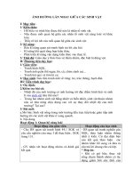 Tải Giáo án môn Sinh học lớp 9 bài 45 - Ảnh hưởng lẫn nhau giữa các sinh vật