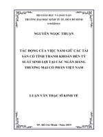 (Luận văn thạc sĩ) tác động của việc nắm giữ các tài sản có tính thanh khoản đến tỷ suất sinh lợi tại các ngân hàng thương mại cổ phần việt nam 