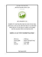 Nghiên cứu sinh trưởng một số loài cây bản địa cẩm lai, kim giao, trai lí, chò chỉ, dẻ tại mô hình trồng rừng cây bản địa của khoa lâm nghiệp, trường đại học nông lâm thái nguyên 