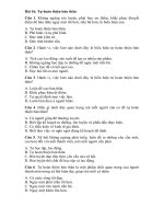 Tải Trắc nghiệm Giáo dục công dân lớp 10 bài 16: Tự hoàn thiện bản thân - Bài tập trắc nghiệm môn GDCD 10 có đáp án