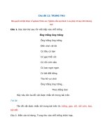 Tải Giải Vở bài tập Tiếng Việt lớp 1 trang 40, 41, 42 Chủ đề 12: Trung thu - Sách Chân trời sáng tạo