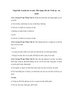 Tải Luyện từ và câu lớp 5 tuần 24: Mở rộng vốn từ: Trật tự - an ninh - Giải bài tập SGK Tiếng Việt 5 tập 2