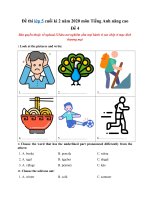 Tải Đề thi lớp 5 cuối kì 2 năm 2020 môn Tiếng Anh nâng cao - Đề 4 - Đề kiểm tra học kỳ 2 lớp 5 môn Anh có đáp án