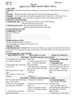 Tải Giáo án Công nghệ 6 bài 2: Lựa chọn trang phục (Tiết 1) - Giáo án điện tử môn Công nghệ lớp 6