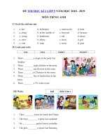 Tải Đề thi học kì 2 lớp 5 môn Tiếng Anh năm học 2018 - 2019 số 4 - Đề thi môn Tiếng Anh lớp 5 học kỳ 2 theo thông tư 22 có đáp án