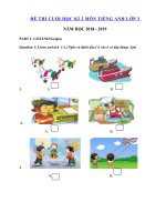 Tải Đề thi môn Tiếng Anh lớp 3 học kì 2 trường tiểu học số 2 Hoài Tân năm học 2018 - 2019 - Đề thi học kì 2 lớp 3 môn Tiếng Anh có đáp án