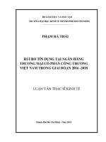(Luận văn thạc sĩ) rủi ro tín dụng tại ngân hàng thương mại cổ phần công thương việt nam trong giai đoạn 2016  2018 