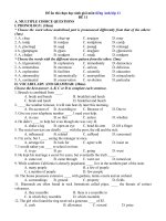 Tải Đề thi chọn học sinh giỏi lớp 11 môn tiếng Anh - Đề số 11 - Đề ôn thi học kì 1 môn tiếng Anh lớp 11