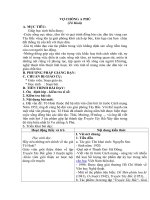 Tải Giáo án môn Ngữ văn lớp 12 bài 41 - Vợ chồng A Phủ