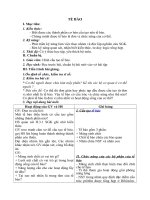 Tải Giáo án môn Sinh học lớp 8 bài 3 - Tế bào