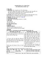 Tải Giáo án môn Sinh học lớp 9 bài 43 - Ảnh hưởng của ánh sáng lên đời sống sinh vật