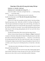 Tải Tham luận về Rèn chữ viết trong nhà trường Tiểu học - Bài tham luận Đại hội chi bộ trường Tiểu học