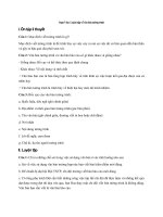 Tải Soạn Văn 8: Luyện tập về văn bản tường trình - Soạn Văn lớp 8 tập 2