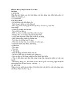 Tải Dàn ý thuyết minh về con thỏ - Bài văn mẫu lớp 9