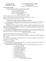 Tải Đề thi học kì 2 môn Ngữ văn lớp 10 trường THPT Đa Phúc, Hà Nội năm 2015 - Đề thi học kỳ 2 môn Văn lớp 10 có đáp án