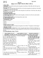 Tải Giáo án Công nghệ 6 bài 2: Lựa chọn trang phục (Tiết 2) - Giáo án điện tử môn Công nghệ lớp 6