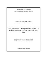 (Luận văn thạc sĩ) giải pháp hạn chế rủi ro tín dụng tại ngân hàng TMCP công thương việt nam 