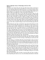 Tải Nghị luận văn học về hành động trả thù của Tấm - Bài văn mẫu lớp 12