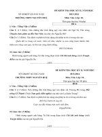 Tải Đề thi học kì 2 môn Ngữ văn lớp 10 trường THPT Nguyễn Huệ, Quảng Nam năm học 2013 - 2014 - Đề kiểm tra học kì 2 lớp 10 môn Văn có đáp án