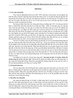 Sáng kiến kinh nghiệm, SKKN - Xây dựng tài liệu về số phức nhằm bồi dưỡng năng lực tự học cho học sinh